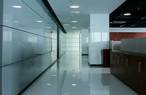 Commercial Skylights
